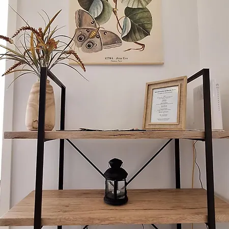 Apartment Jardim Do Morro