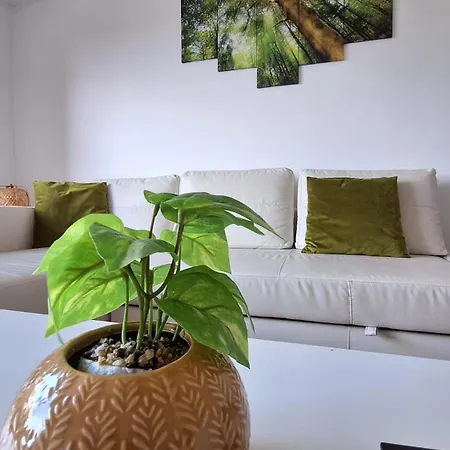 Apartment Jardim Do Morro