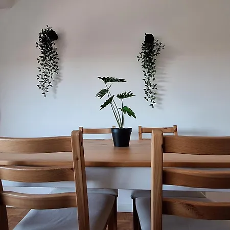 Apartmán Jardim Do Morro