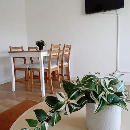 Apartmán Jardim Do Morro *