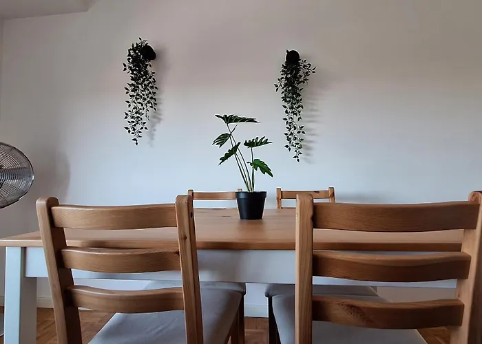 Daire Jardim Do Morro