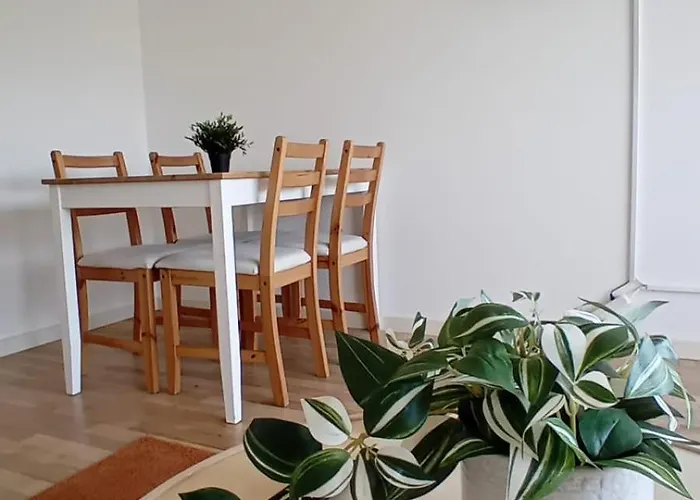 Appartement Jardim Do Morro *